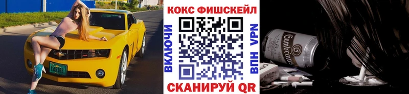 Cocaine FishScale  закладки  Ялуторовск 