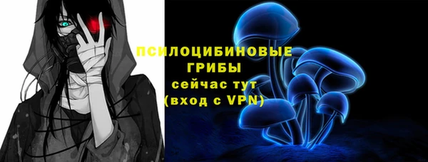 Альфа ПВП Елизово