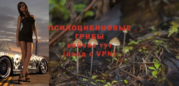 героин Дмитриев
