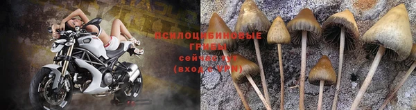 не бодяженный Ельня