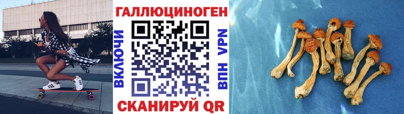 гидра рабочий сайт  Ялуторовск  Галлюциногенные грибы прущие грибы 